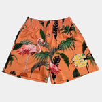 Flamingo Orange
